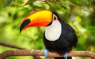 Joan's Bed & Breakfast