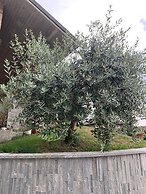 Villa Cuore