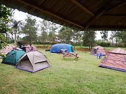 Nile Park - Campsite
