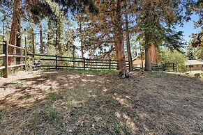 Three Bears Cabin #1574