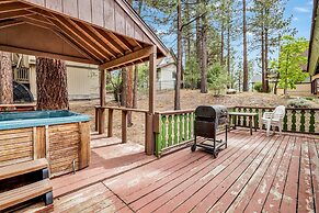 Pines AND Needles #1454