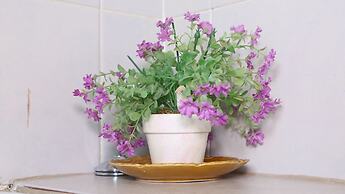 Roba Monakedi Guest Lodge