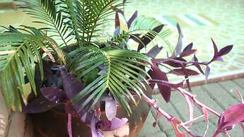 Roba Monakedi Guest Lodge