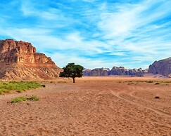 Ali Wadi Rum Moon Camp