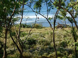 Jardines del Paraiso