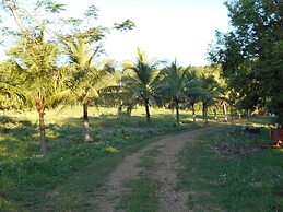 Jardines del Paraiso