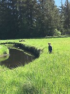 Tillamook Bay City RV Park