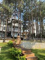 Romeo Juliet Dalat Resort