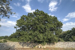 Trullo Pagliaro Cisternino by Typney