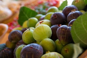 Agriturismo Regno di Marzagaglia