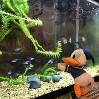 Guesthouse Shiawase Eki - Hostel