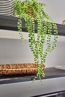 Designer City Centre Apartment