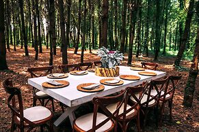 Boscoso Hotel Boutique