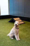 Level Chicago – Old Town