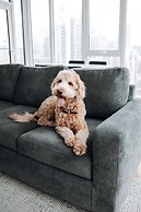 Level Chicago – Old Town