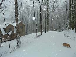 Endless View Blue Ridge