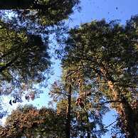 Hotel Ex Hacienda el Molino