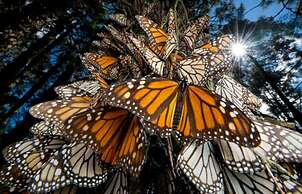 Hotel Ex Hacienda el Molino