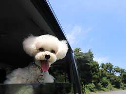 Wan's Resort Jogasaki Coast