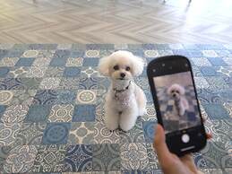 Wan's Resort Jogasaki Coast