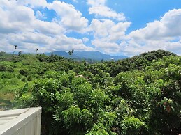 Xiangyang Tianyuan Ju Homestay