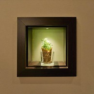 Hotel-Restaurant Sonneneck