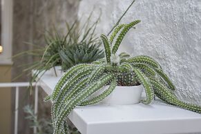 Liiiving - Clérigos Terrace Apartment