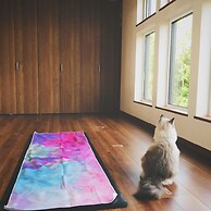 Shooting Star the Bed & Breakfast