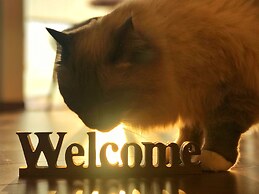 Shooting Star the Bed & Breakfast