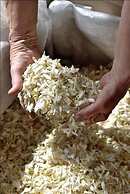 Chambres d'hotes La Bigarade