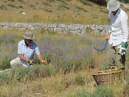 Chambres d'hotes La Bigarade