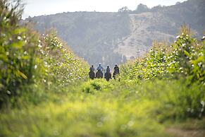 La Casona at Matetic Vineyards