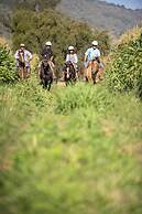 La Casona at Matetic Vineyards