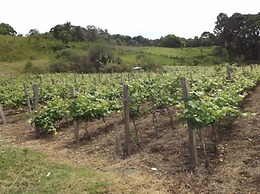 Pousada Ilhas do Sol