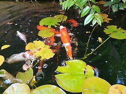 Maison du jardin botanique