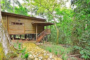 The Rainforest Geo Lodge