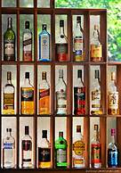 The Rainforest Geo Lodge