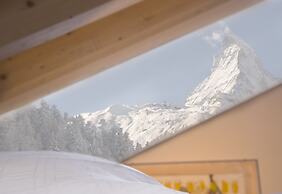 Chalet Altesse Serviced Apartments