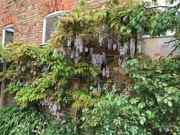 The Old Bookbinders Retreat