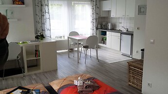 FeWo II, V und VI  - Altstadt - Am grossen Garten