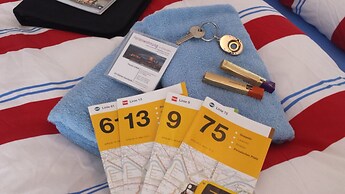 FeWo II, V und VI  - Altstadt - Am grossen Garten