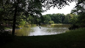 FeWo II, V und VI  - Altstadt - Am grossen Garten