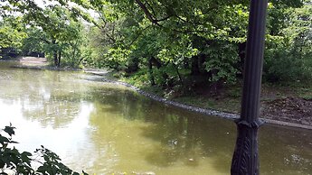 FeWo II, V und VI  - Altstadt - Am grossen Garten