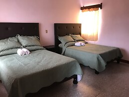 OliLer s House&Garden Zona Centro