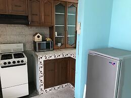 OliLer s House&Garden Zona Centro