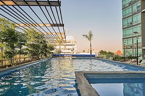 Dodo Horizontes Chapultepec