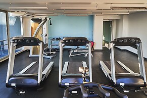 Dodo Horizontes Chapultepec