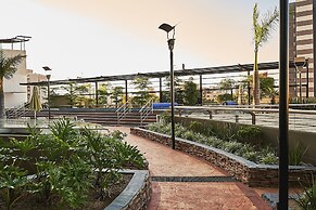 Dodo Horizontes Chapultepec