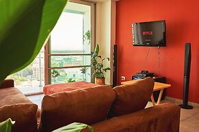 Dodo Horizontes Chapultepec