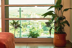 Dodo Horizontes Chapultepec